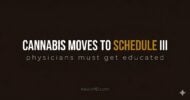 Why physicians need to learn cannabis medicine now