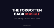 The forgotten back muscle: rethinking chronic back pain