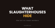 What slaughterhouses hide: the toll on meat workers